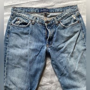 EUC Earl jeans low rise flair